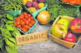 Organic Gardening- An Over View, A Unique Business Opportunity 14 Organic Gardening- An Over View, A Unique Business Opportunity 14