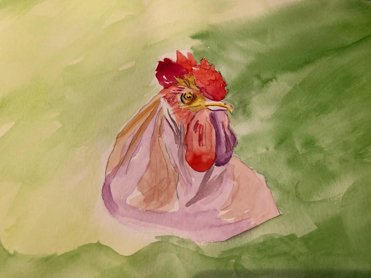 Artist: Shelley Arnold Artist: Shelley Arnold