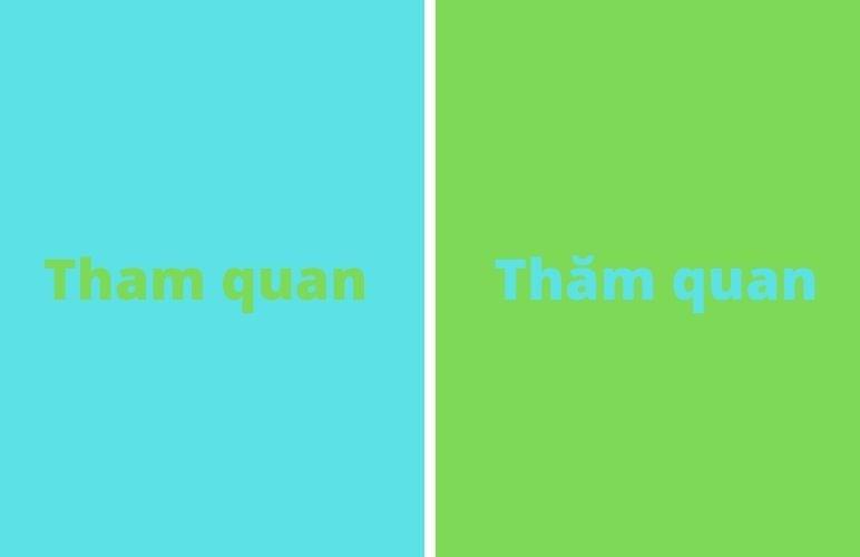 Tham Quan Hay Thăm Quan Va Cac Cặp Từ Du Lịch Dễ Nhầm Lẫn