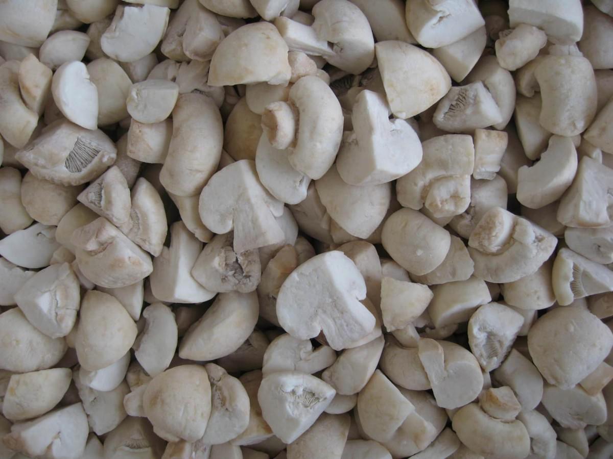IQF Champignon Mushrooms Cuts IQF Champignon Mushrooms Cuts
