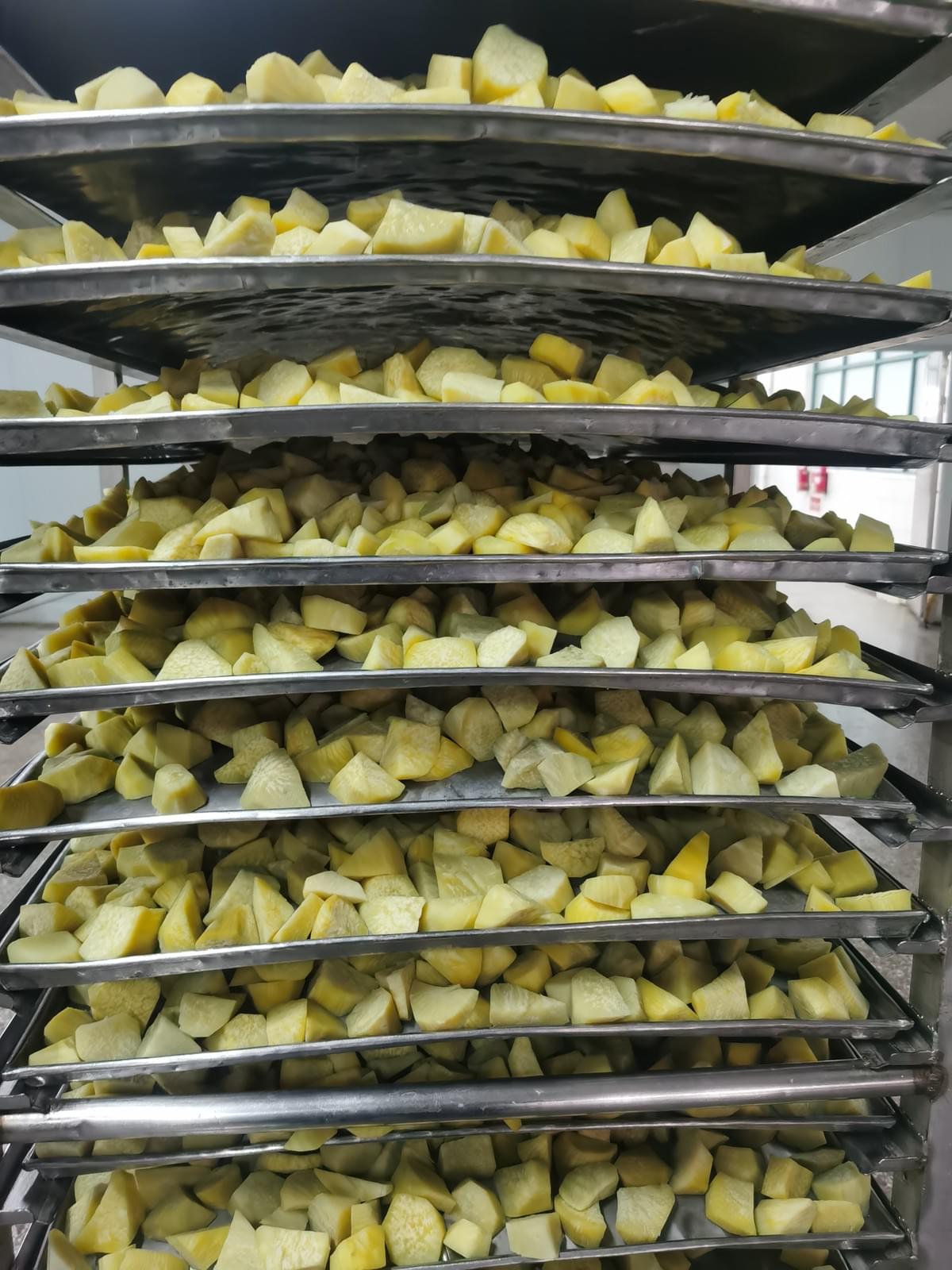 IQF SWEET POTATO RANDOM CUTS IQF SWEET POTATO RANDOM CUTS