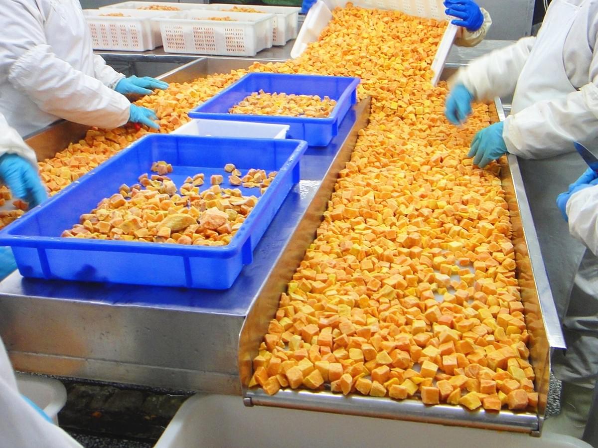 IQF SWEET POTATO DICES IQF SWEET POTATO DICES