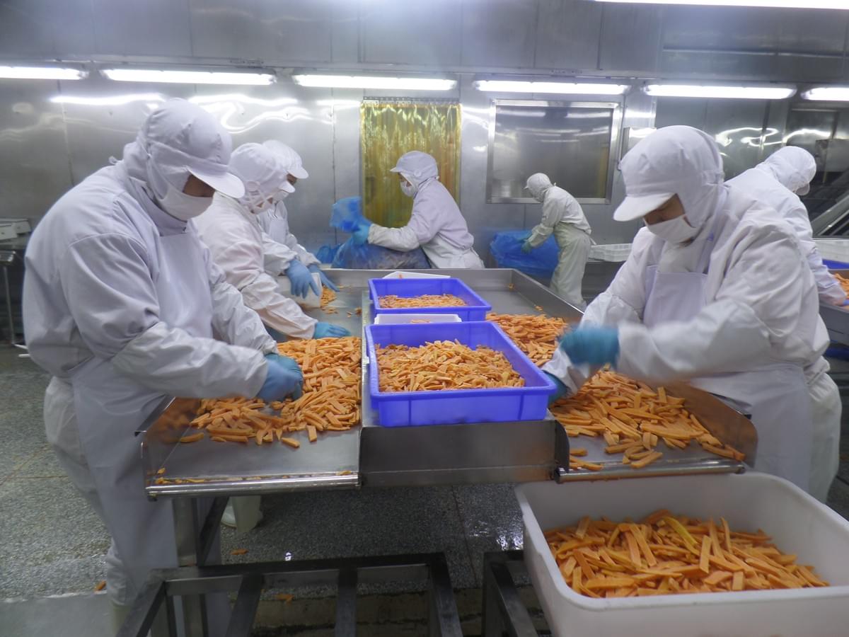 IQF SWEET POTATO STICKS IQF SWEET POTATO STICKS