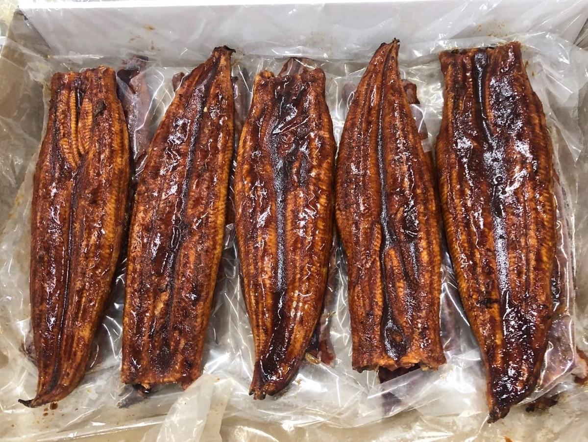 frozen broiled eel unagi kabayaki frozen broiled eel unagi kabayaki
