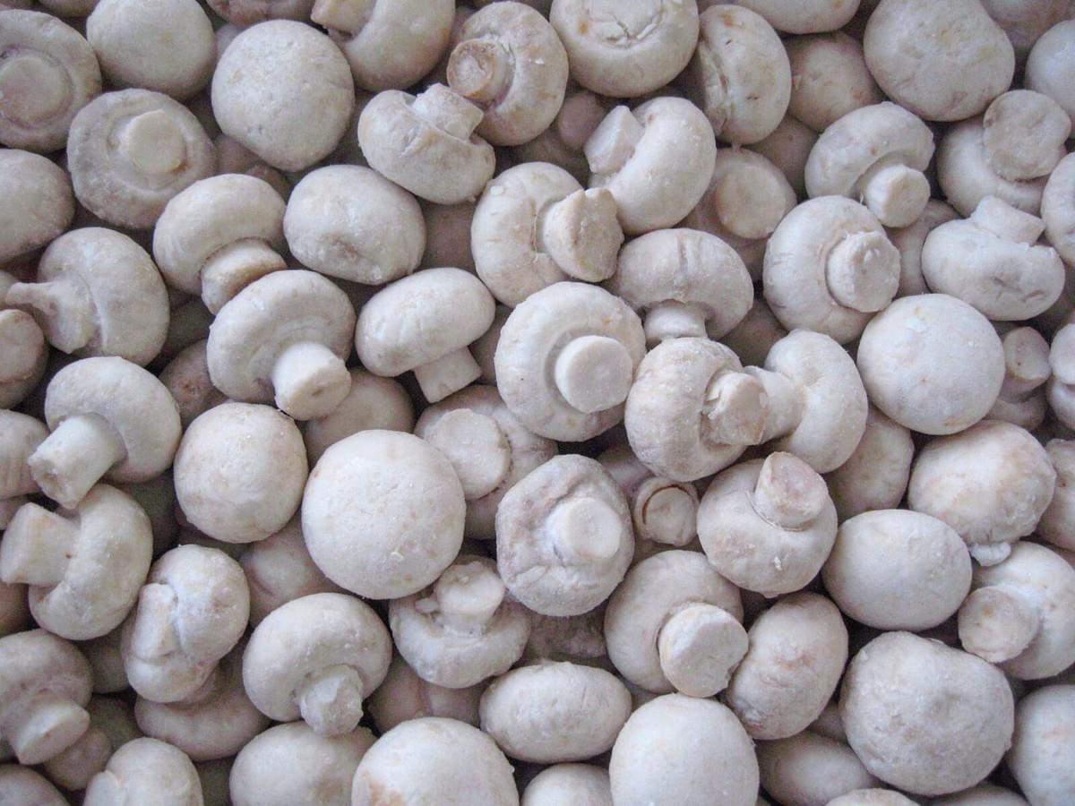 IQF Champignon Mushrooms Wholes IQF Champignon Mushrooms Wholes