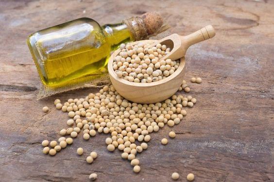 refined soybean oil refined soybean oil