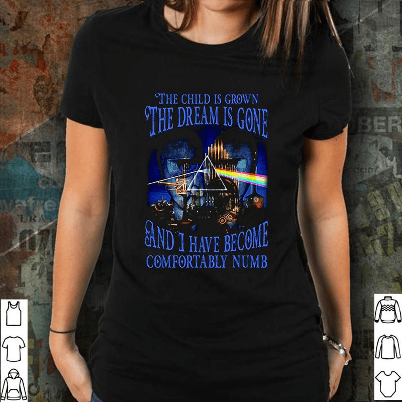 Comfortably Numb Lyrics Pink Floyd Delicate Sound Of Thunder Shirt