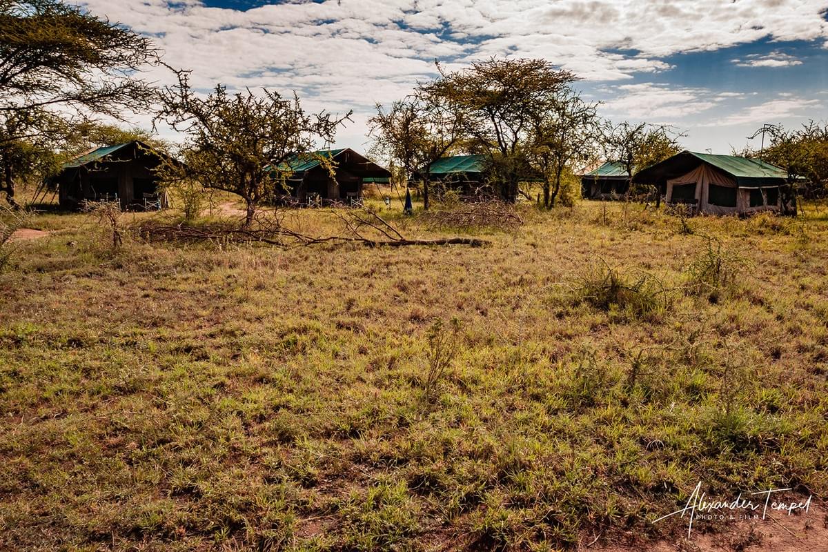 Das Camp für die Nacht in der Serengeti Das Camp für die Nacht in der Serengeti