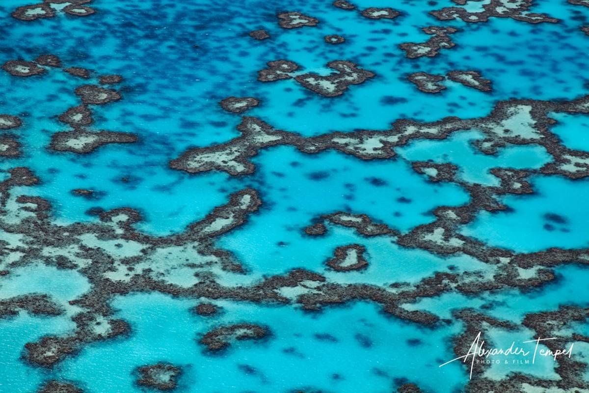 Reisefotograf Australien, Landschaftsfotograf, Fotoreportage, Heron Island Reisefotograf Australien, Landschaftsfotograf, Fotoreportage, Heron Island