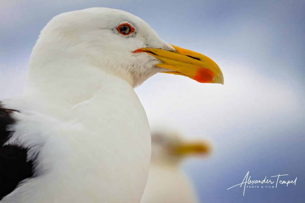 Fine Art Photography Hamburg, Landschaftsfotografie, Reisefotografie Neuseeland, Fotograf Hamburg Fine Art Photography Hamburg, Landschaftsfotografie, Reisefotografie Neuseeland, Fotograf Hamburg