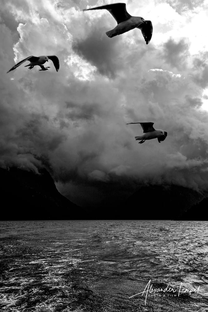 Fine Art Photography Hamburg, Landschaftsfotografie, Reisefotografie Neuseeland, Fotograf Hamburg Fine Art Photography Hamburg, Landschaftsfotografie, Reisefotografie Neuseeland, Fotograf Hamburg