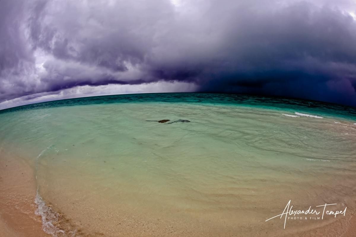 Reisefotograf Australien, Landschaftsfotograf, Fotoreportage, Heron Island Reisefotograf Australien, Landschaftsfotograf, Fotoreportage, Heron Island