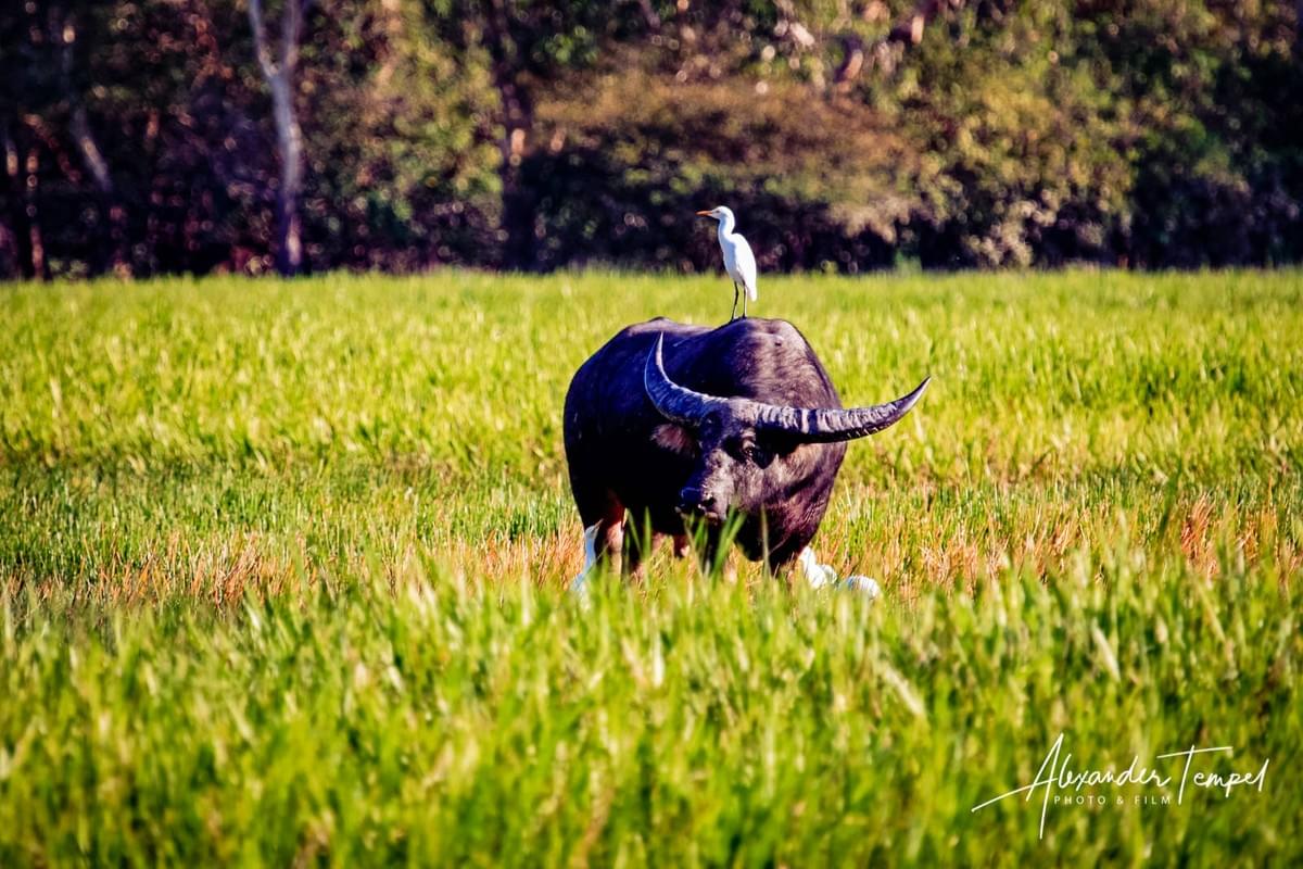 Reisefotograf Australien, Kakadu National Park, Hamburg Fotograf Reisefotograf Australien, Kakadu National Park, Hamburg Fotograf