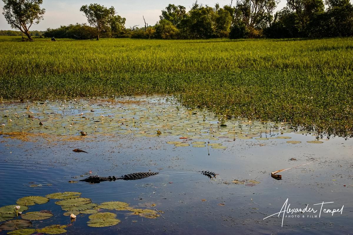 Reisefotograf Australien, Kakadu National Park, Hamburg Fotograf Reisefotograf Australien, Kakadu National Park, Hamburg Fotograf