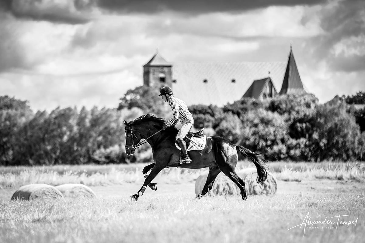 Sportfotograf Hamburg, Sportreportage, Fotograf Alexander Tempel Sportfotograf Hamburg, Sportreportage, Fotograf Alexander Tempel
