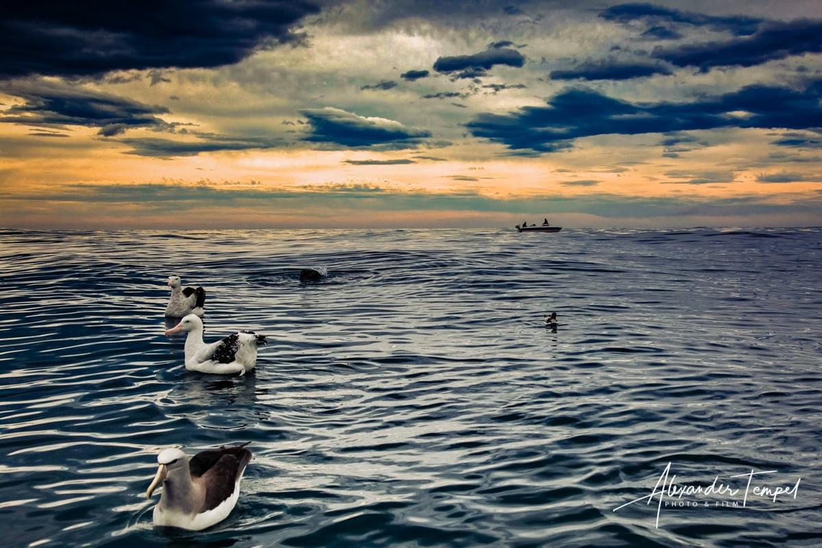 Fine Art Photography Hamburg, Landschaftsfotografie, Reisefotografie Neuseeland, Fotograf Hamburg Fine Art Photography Hamburg, Landschaftsfotografie, Reisefotografie Neuseeland, Fotograf Hamburg