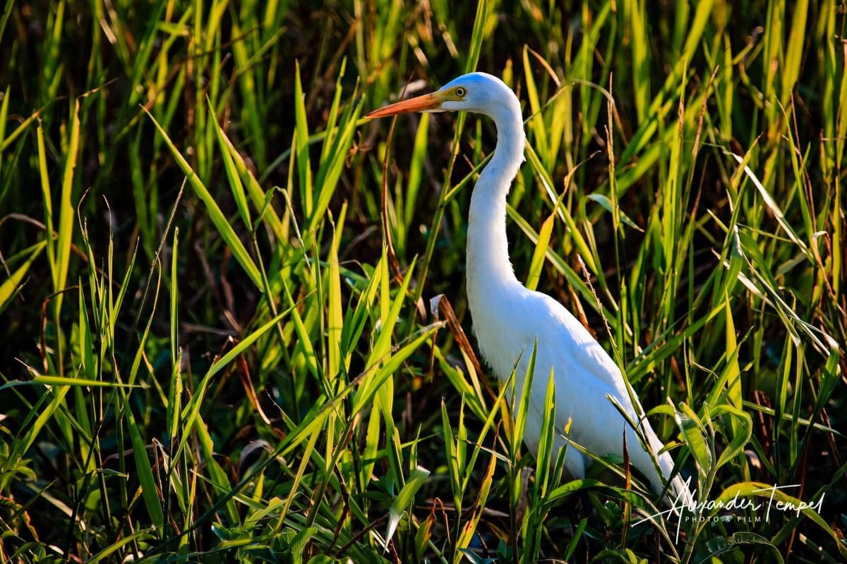 Reisefotograf Australien, Kakadu National Park, Hamburg Fotograf Reisefotograf Australien, Kakadu National Park, Hamburg Fotograf