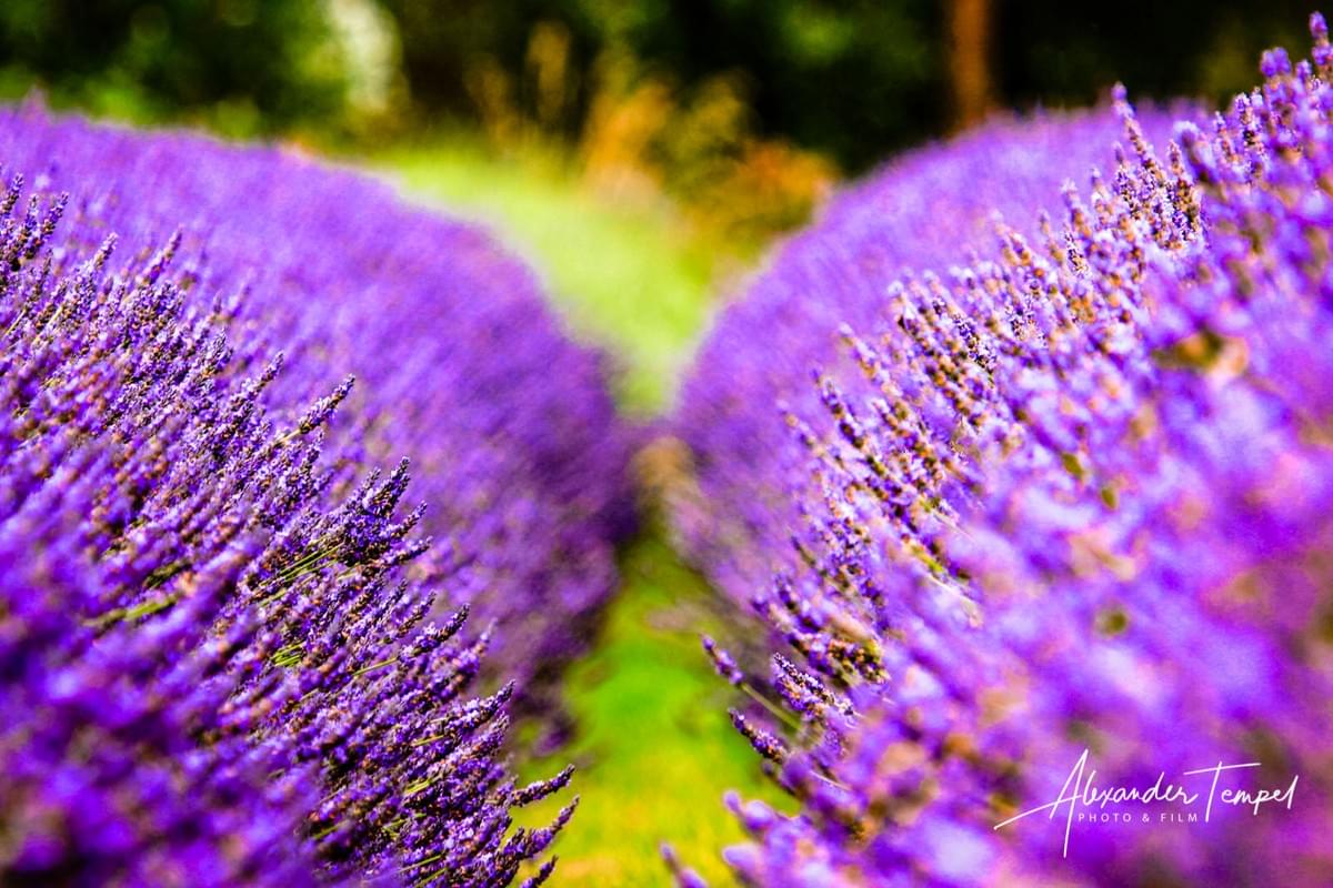 Fine Art Photography Hamburg, Landschaftsfotografie, Reisefotografie Neuseeland, Fotograf Hamburg Fine Art Photography Hamburg, Landschaftsfotografie, Reisefotografie Neuseeland, Fotograf Hamburg