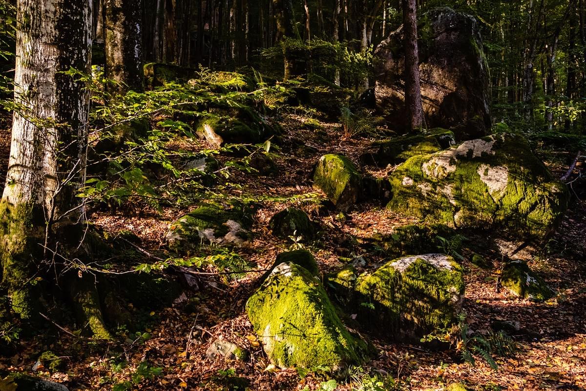 Hamburg Fotograf Alexander Tempel fotografiert zufriedene Menschen in den Alpen Hamburg Fotograf Alexander Tempel fotografiert zufriedene Menschen in den Alpen
