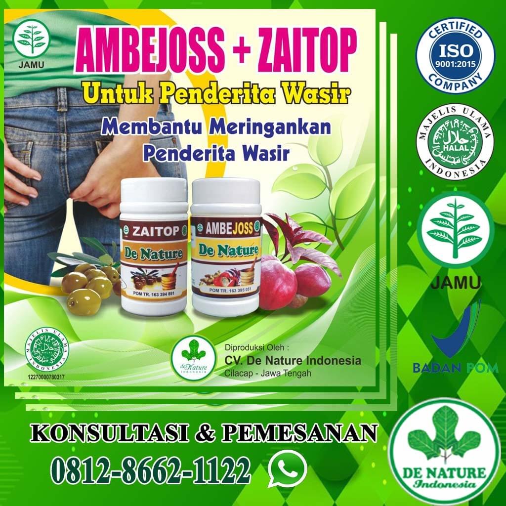 Penyebab Dan Cara Mengatasi Buang Air Besar Berdarah Saat Hamil Obat Wasir Obat Ambeien Obat Bab Berdarah