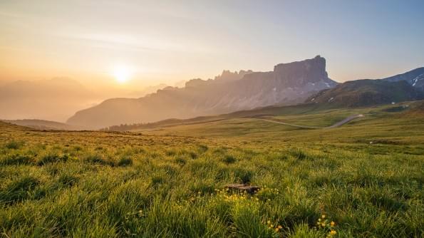 A beautiful meadow of grasses and wild flowers stretches into the distance where the ground rises into misty hills. The sun is shining. A beautiful meadow of grasses and wild flowers stretches into the distance where the ground rises into misty hills. The sun is shining.