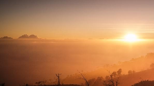 A landscape suffused in golden sunshine. A landscape suffused in golden sunshine.
