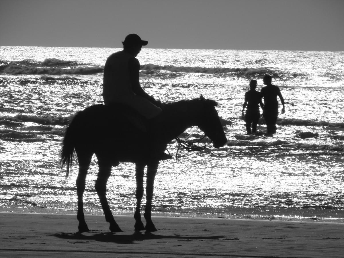 Image of a man on a horse, with two people in the background, all silhouetted against a bright, silvery sea. Image of a man on a horse, with two people in the background, all silhouetted against a bright, silvery sea.