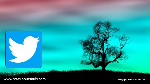 Image of a tree silhouetted against an aethereal metallic blue sky. Alongside it is the blue and white twitter logo. Image of a tree silhouetted against an aethereal metallic blue sky. Alongside it is the blue and white twitter logo.