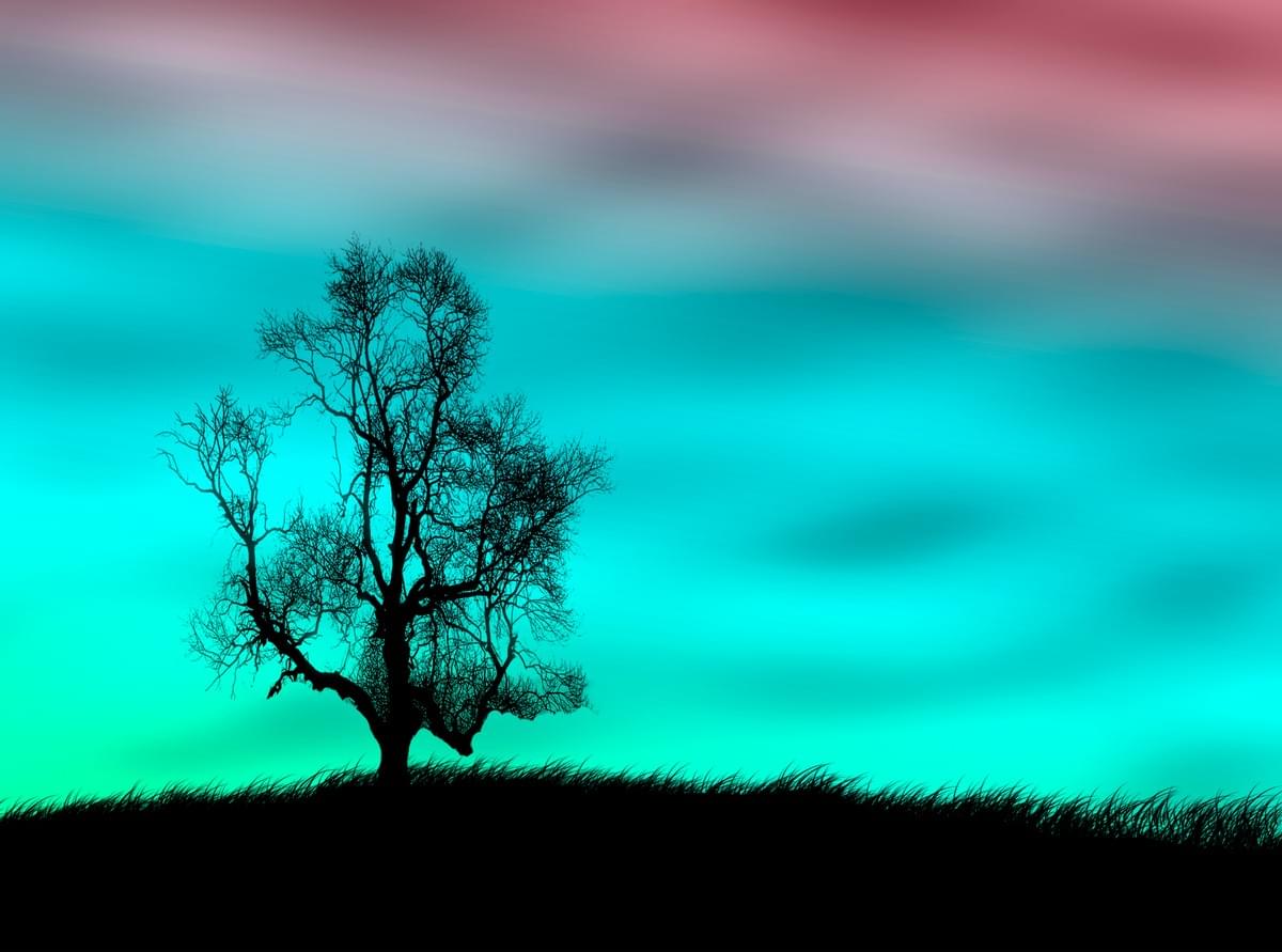 Image of tree against an aethereal sky: Image of tree against an aethereal sky: