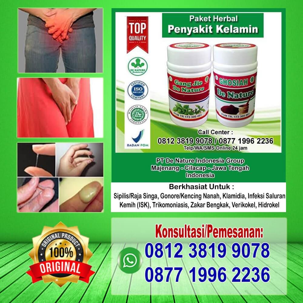 Inilah Daftar Obat Buah Zakar Besar Sebelah Di Apotik Buah Zakar Bengkak Sakit Buah Zakar