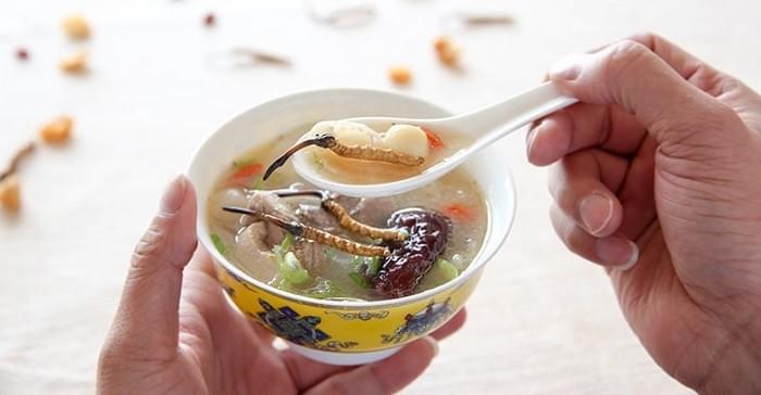 Đông trùng hạ thảo hầm thịt vịt thơm ngon bổ dưỡng Đông trùng hạ thảo hầm thịt vịt thơm ngon bổ dưỡng