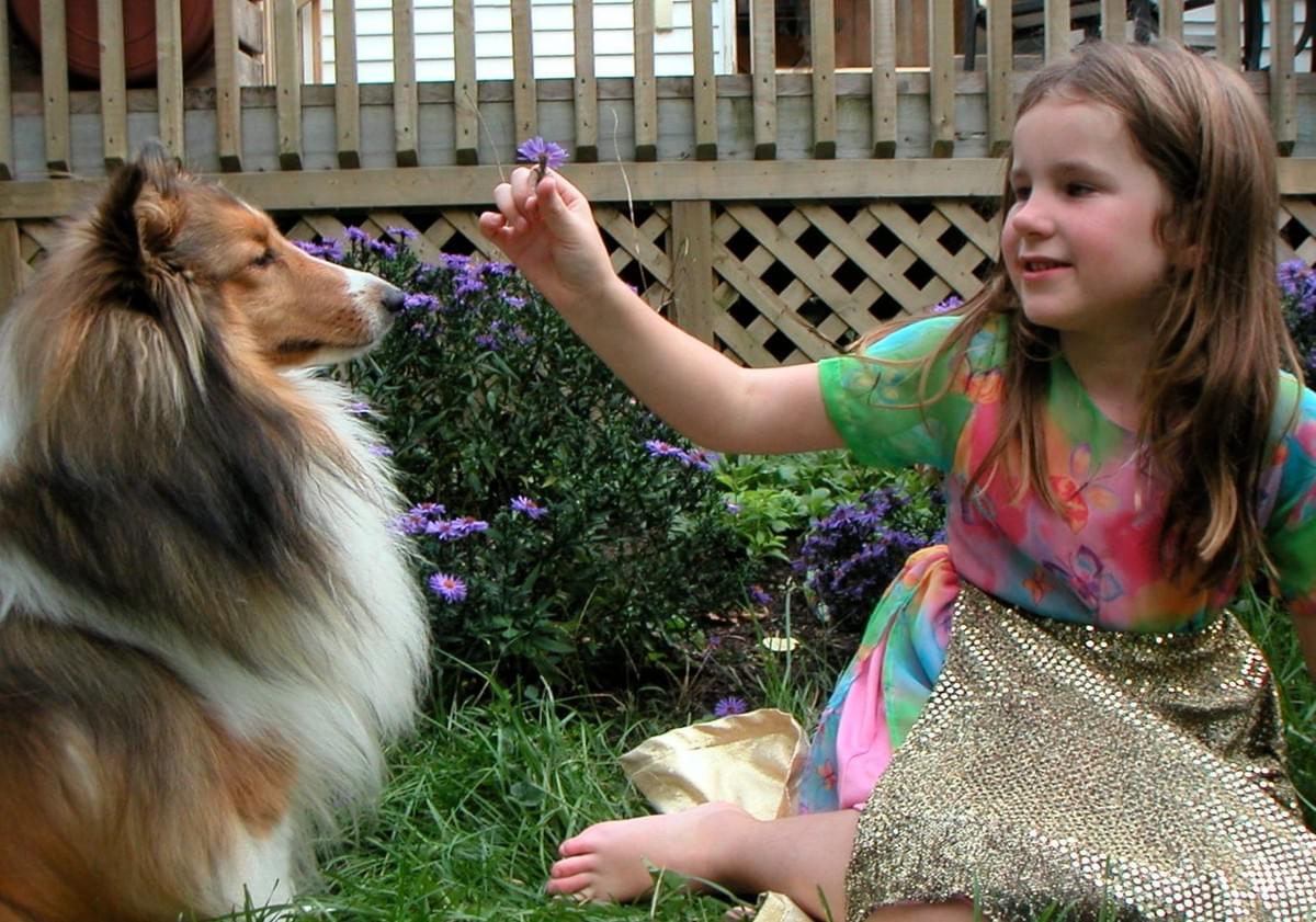 Maddy, with her beloved Bella, at the age when she listened to the bell. Maddy, with her beloved Bella, at the age when she listened to the bell.