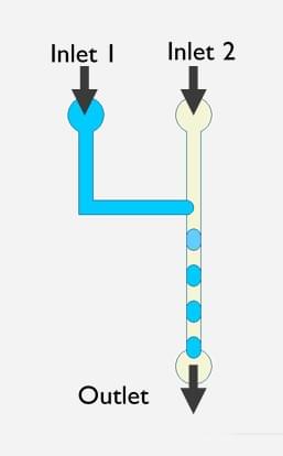 Illustration demonstrating a means of generating microscale droplets using two inlets feeding microfluidic channels joined at a T-junction, and a single outlet. Illustration demonstrating a means of generating microscale droplets using two inlets feeding microfluidic channels joined at a T-junction, and a single outlet.