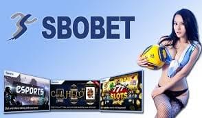 Kemenangan Yang Selalu Di Harapkan Para Pemain Sbobet Kemenangan Yang Selalu Di Harapkan Para Pemain Sbobet