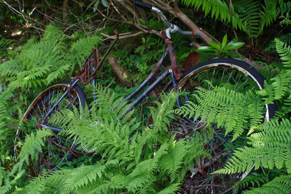 自転車の乗り捨て、破棄 自転車の乗り捨て、破棄