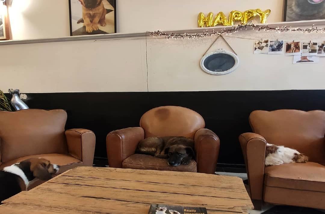 bar le waf coup de coeur lille bar le waf coup de coeur lille