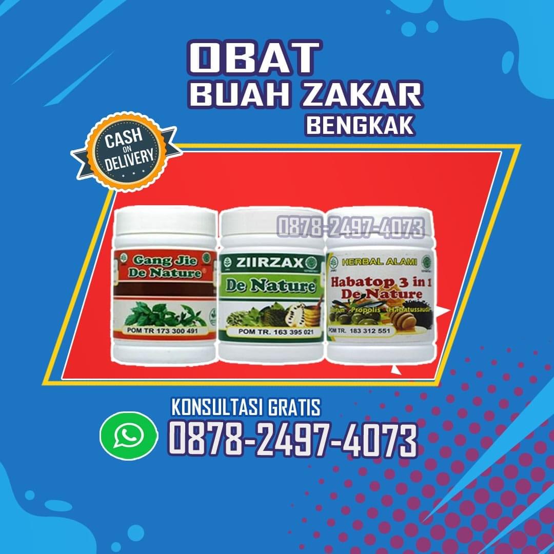 4 Jenis Herbal Untuk Mengobati Buah Zakar Besar Sebelah Yang Paling Manjur
