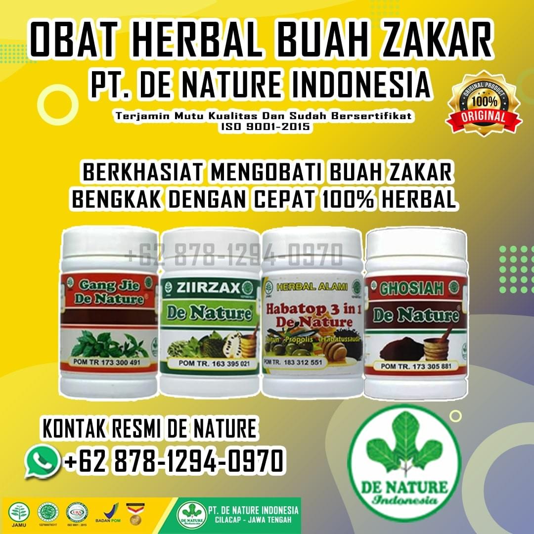 Khasiat Obat Alami Atasi Testis Bengkak Sebelah Kanan Atau Kiri Di Apotik Paling Aman Obat Herbal Zakar Obat Zakar Ampuh Obat Herbal Testis