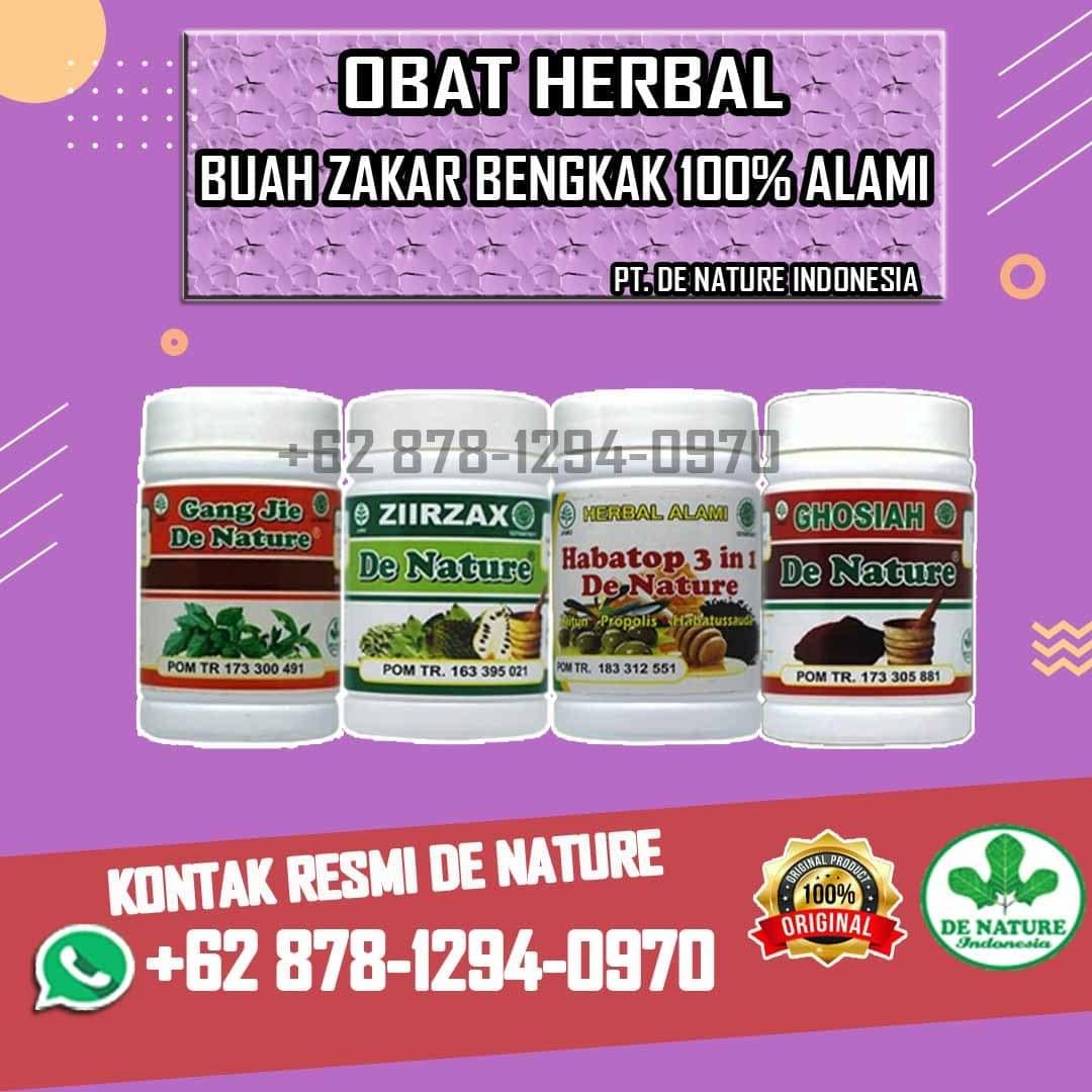 Khasiat Obat Alami Atasi Buah Zakar Bengkak Sebelah Paling Ampuh Di Apotik Terbaik Di Nusantara Buah Zakar Bengkak Obat Herbal Zakar Obat Herbal Alami