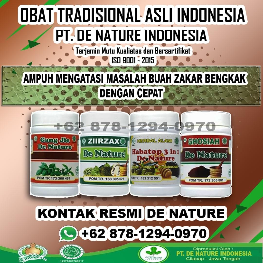 Khasiat Obat Alami Atasi Testis Bengkak Obat Buah Zakar Besar Sebelah Paling Topcer Digunakan Buah Zakar Bengkak Obat Herbal Zakar Obat Herbal Alami