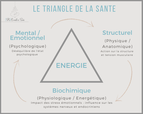 Kinesiologie : le Triangle de la Santé Kinesiologie : le Triangle de la Santé