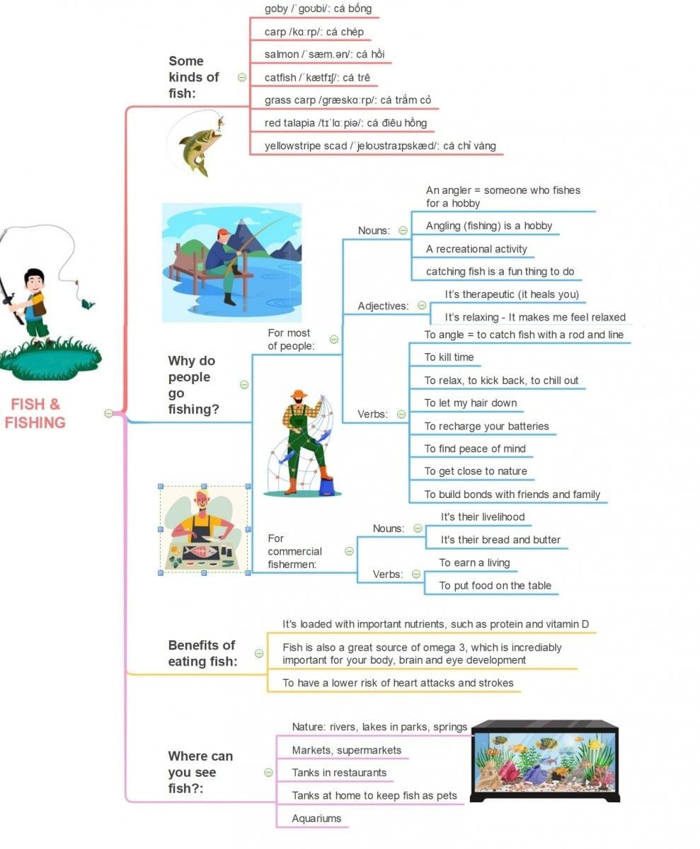 Từ vựng & Ideas topic"FISH & FISHING" IELTS Từ vựng & Ideas topic"FISH & FISHING" IELTS