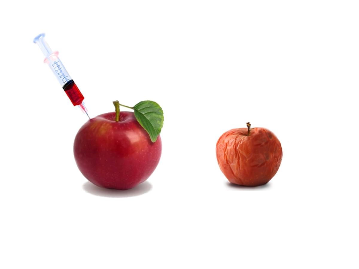 One apple sacfirficed so another can grow. Copyright Dr. David Roberts One apple sacfirficed so another can grow. Copyright Dr. David Roberts