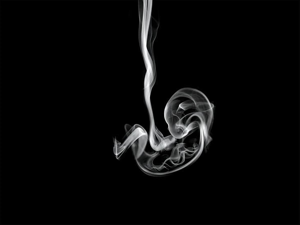 On a black background, a foetus has been created out of cigarette smoke. It forces a connection between maternal smoking and foetal vulnerability On a black background, a foetus has been created out of cigarette smoke. It forces a connection between maternal smoking and foetal vulnerability