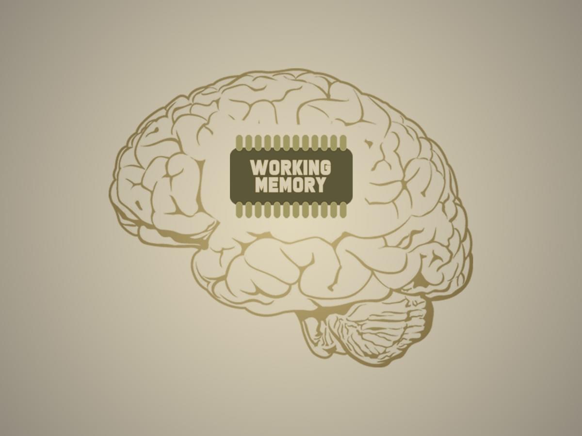Image shows the profile of a brain. Inside the brain is a computer RAM chip, but with the words 'Working Memory' instead of RAM. This helps analogise RAM and Working Memory as similar processes Image shows the profile of a brain. Inside the brain is a computer RAM chip, but with the words 'Working Memory' instead of RAM. This helps analogise RAM and Working Memory as similar processes