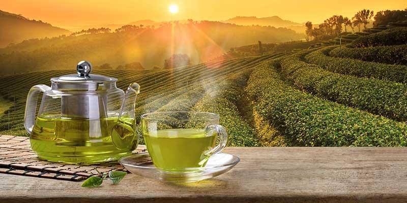 Caffeine in Green Tea. What is Caffeine? Caffeine Health Benefits. Caffeine in Green Tea. What is Caffeine? Caffeine Health Benefits.