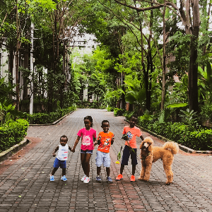 Four children and a large, golden dog stand in the middle of a tree-lined Thai walkway. Four children and a large, golden dog stand in the middle of a tree-lined Thai walkway.