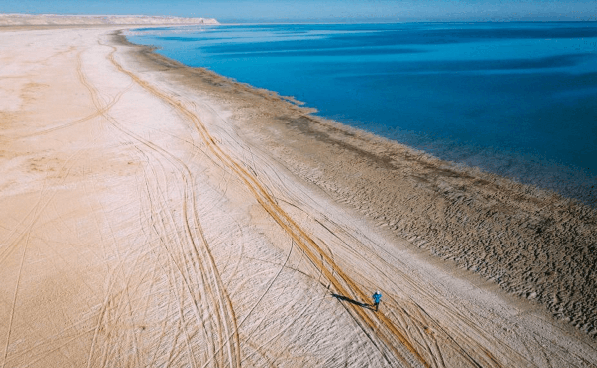 2019 CAW Mina Guli - Kelvin Trautman credits 2019 CAW Mina Guli - Kelvin Trautman credits