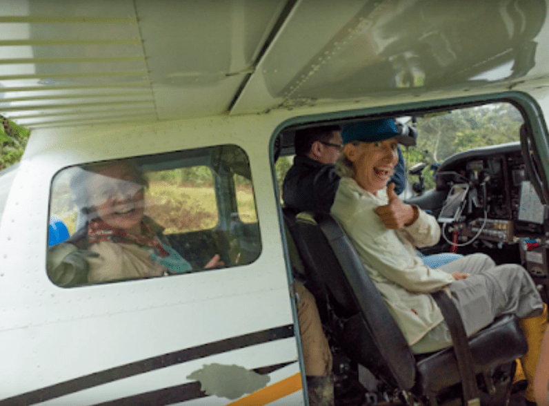 in the airplane in the airplane