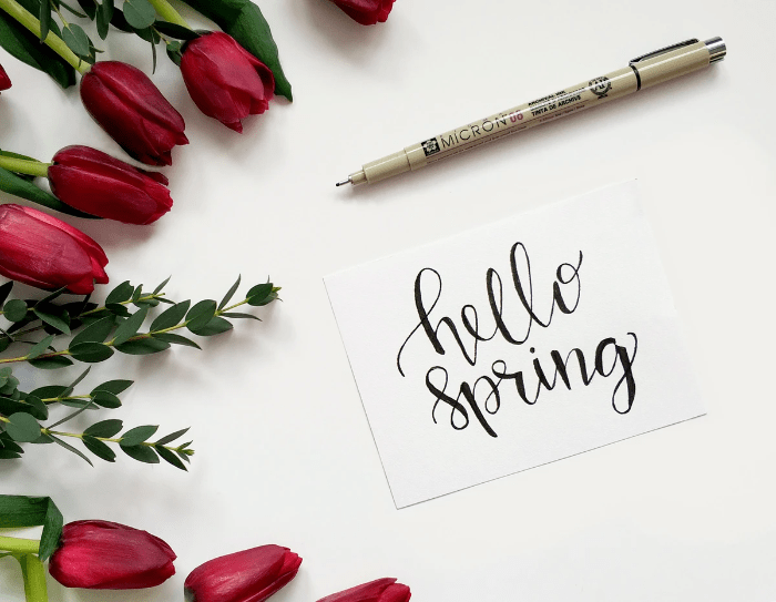 Spring Cleaning Service Spring Cleaning Service